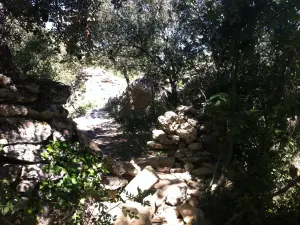 On the way to Pont du Gard (© A Gauche du Pont)