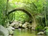 Bridge Zaglia - Trail Mare e Monti Nord (© Jean Espirat)