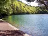 Lac Pavin Blick auf den Damm (© Jean Espirat)