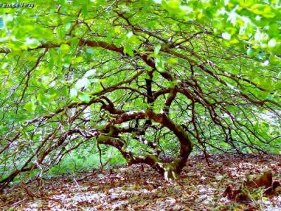 The Reims Mountain Regional Nature Park Tourism Holiday