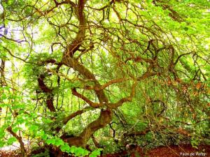 The Reims Mountain Regional Nature Park Tourism Holiday