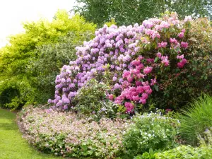 Jardins des Renaudies、Colombiers-du-Plessisの花の公園