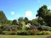 Jardins des Renaudies，Colombiers-du-Plessis的花卉公园