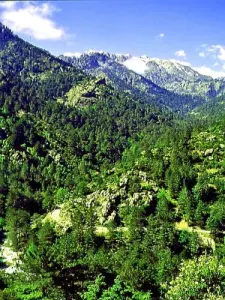 Restonica Valley Average view balcony trail (© JE)