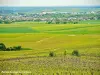 Panorama sur Epernay depuis Cramant (© Jean Espirat)