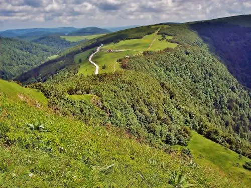 Route des Crêtes vue du Rainkopf (© Jean Espirat)