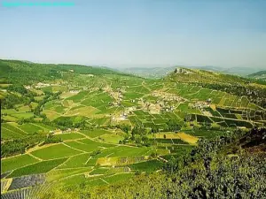 Panorama del vigneto, dalla cima (© Jean Espirat )