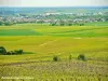 Panorama desde Epernay Cramant ( © Jean Espirat )