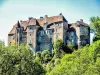 Schloss Boussac von der Straße der Mühle aus gesehen (© J.E)
