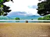 Strand East Lake Chambon (© Jean Espirat)