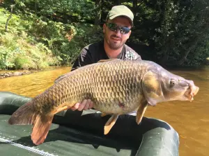 Ein schöner Karpfen von 13 kg