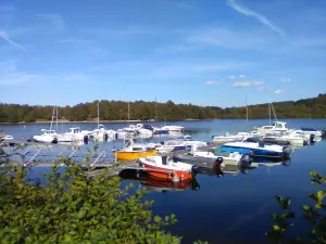 Das Tragen von Vauveix