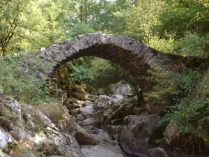 Aos pés de Peyrusse-le-Roc, natureza intocada