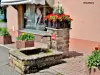 Étueffont - Kunstvolle Brunnen ( © Jean Espirat )