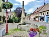 Giromagny - Brunnen Louis 15. (© Jean Espirat )