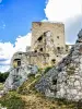 Ruines du château du Landskron à Leymen (© J.E)