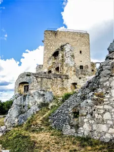 Ruines du château du Landskron à Leymen (© J.E)