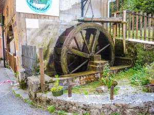 Paddelrad der alten Trostmühle (© J.E)