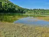 Lago de Antre - Villards-d'Heria (© Jean Espirat)