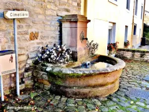 Bains-les-Bains - Brunnen im oberen Teil der Stadt (© J.E)