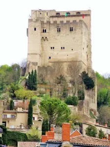 Donjon de Crest (© J.E)