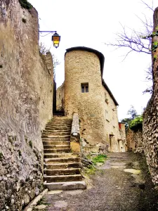 Premier escalier d'accès à la tour (© J.E)