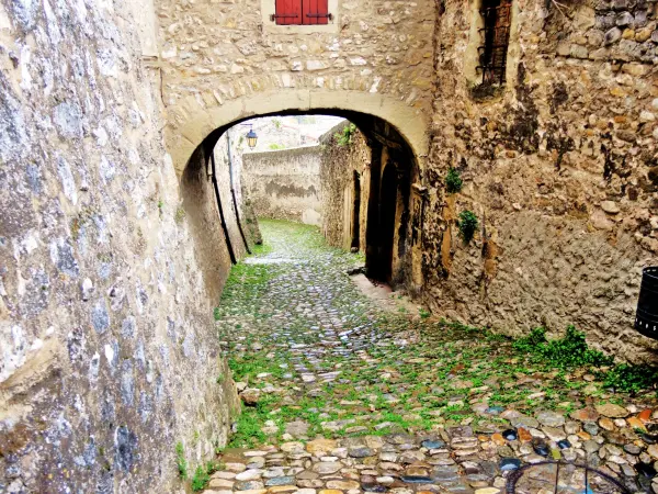 Premier seuil d'accès dans la forteresse, vu de l'intérieur (© J.E)