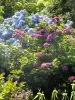 Gardens Renaudies, bloemen park in Colombiers-du-Plessis
