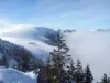 invierno en las montañas