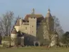 Castle Villemonteix