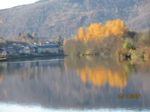 Une vallée de chênes et de bouleaux : les belles couleurs de l'automne