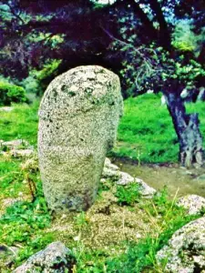 Estatua-menhir antropomórfica, llamada Filitosa IX (© JE)